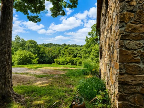 1493 Missouri Hollow Road, Monticello, KY 42633 — photo 5
