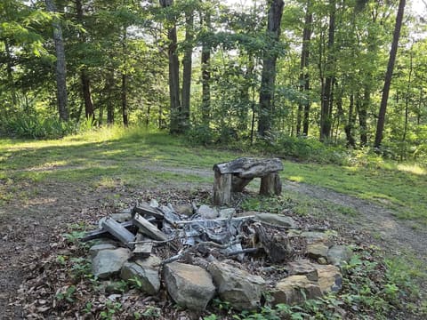 110 Cox Road, Irvine, KY 40336 — photo 5