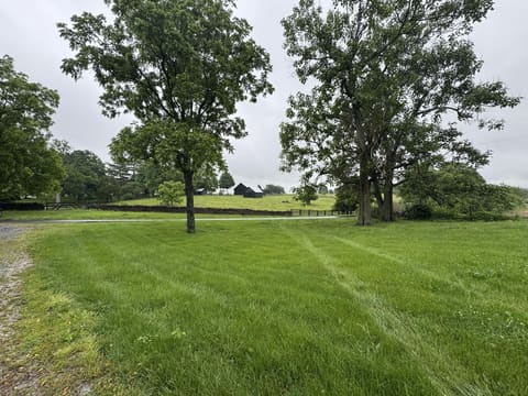 1050 Shanklin Road, Mays Lick, KY 41055 — photo 3