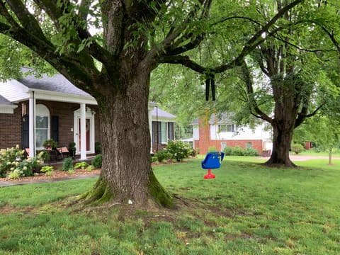 103 Green Hill Park Drive, Somerset, KY 42501 — photo 4