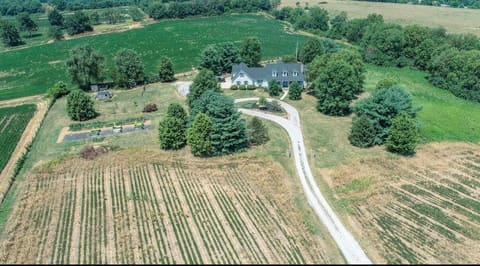 585 Ruddles Mill Cynthiana Road, Cynthiana, KY 41031 — photo 3