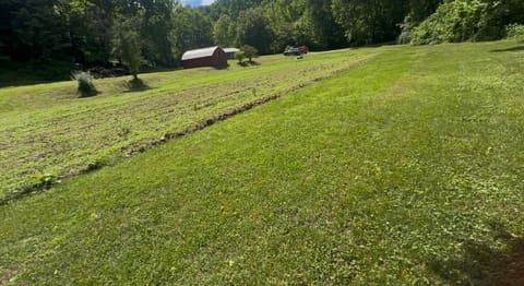 5364 2025 Highway, Booneville, KY 41314 — photo 3
