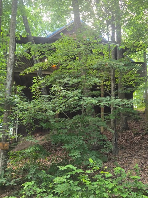 202 Getaways Road, Stanton, KY 40380 — photo 2