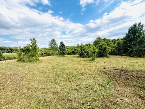 729 Oakland Lane, Harrodsburg, KY 40330 — photo 3