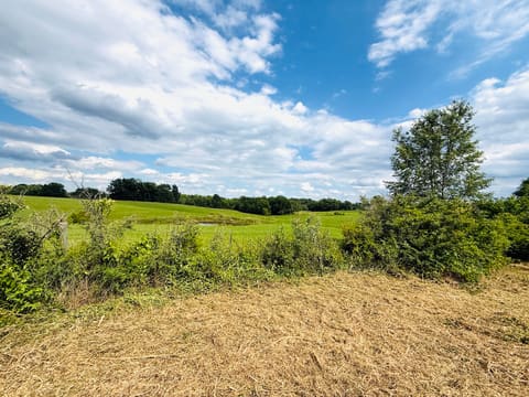 729 Oakland Lane, Harrodsburg, KY 40330 — photo 4
