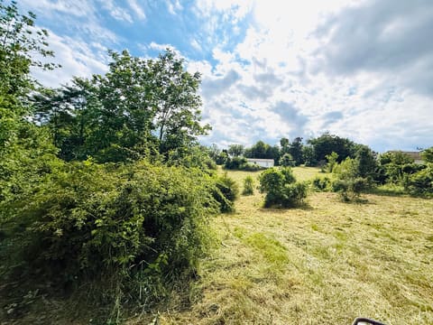 729 Oakland Lane, Harrodsburg, KY 40330 — photo 2