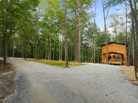 23 Joyful Springs, Zoe, KY 41397 — photo 3