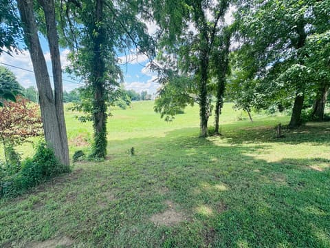 6330 US Hwy 27 S, Stanford, KY 40484 — photo 5