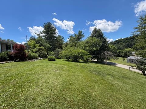 303 Freedom School Road, Mt Vernon, KY 40456 — photo 3