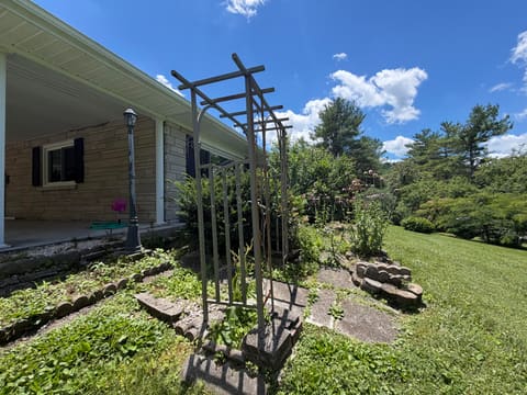 303 Freedom School Road, Mt Vernon, KY 40456 — photo 4