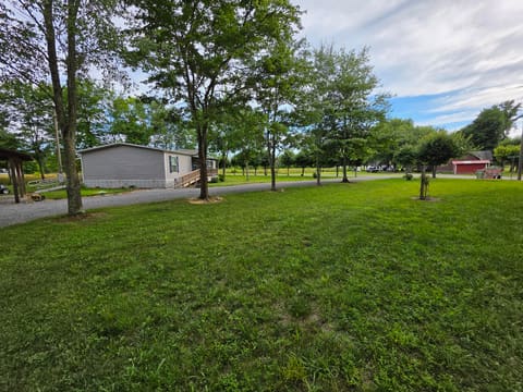 323 Mcqueary Road, Russell Springs, KY 42642 — photo 5