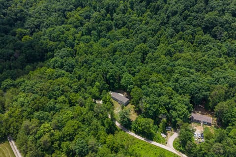 220 Long Branch Rd. Road, Berea, KY 40403 — photo 5