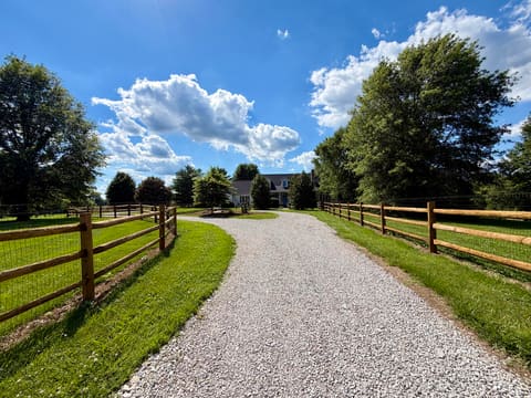 585 Ruddles Mill Cynthiana Road, Cynthiana, KY 41031 — photo 5