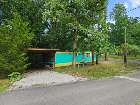 184 Hill Top Road, Grand Rivers, KY 42045 — photo 2