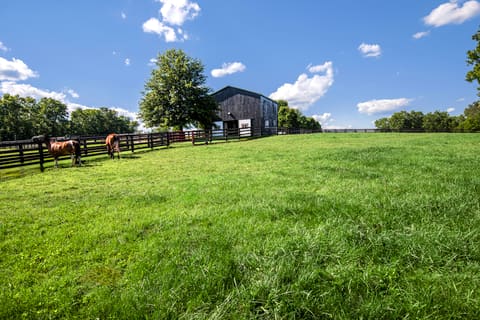 650 Delaney Ferry Road, Versailles, KY 40383 — photo 5