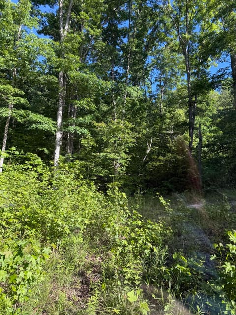 345 Sam Baughman Road, Stanford, KY 40484 — photo 4