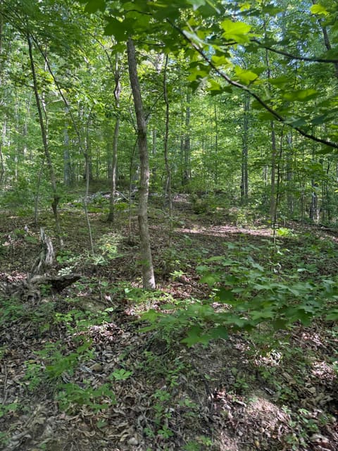 345 Sam Baughman Road, Stanford, KY 40484 — photo 5