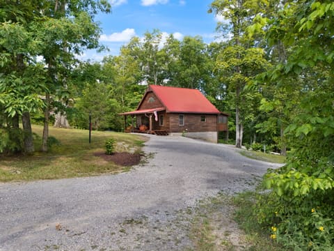 249 Diamond Lane, Wallingford, KY 41093 — photo 2