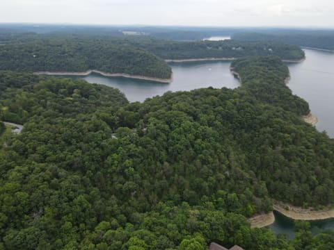 255 Tall Timber Drive, Jamestown, KY 42629 — photo 5