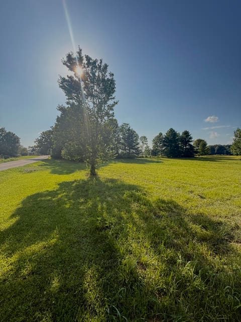 9999 State Hwy 618, Crab Orchard, KY 40419 — photo 3