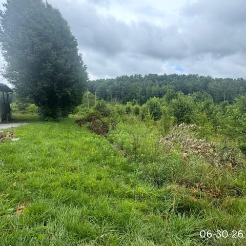 270 Jackson Drive, Tyner, KY 40486 — photo 3