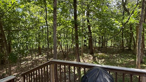 65 S Lake Drive, Burnside, KY 42519 — photo 5