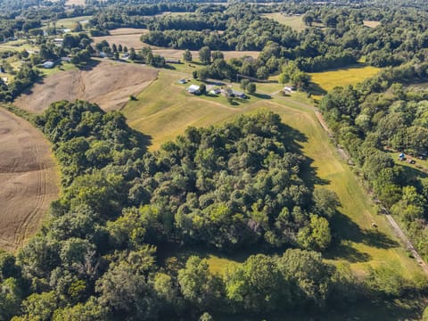 942 Crews Road, Wickliffe, KY 42087 — photo 3