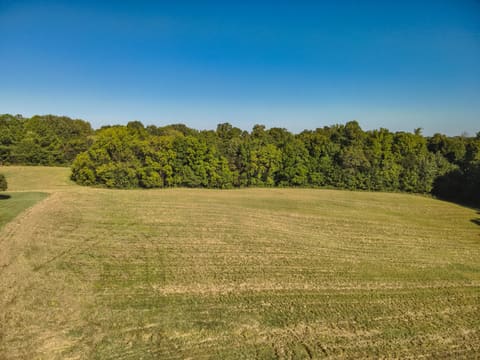 942 Crews Road, Wickliffe, KY 42087 — photo 5