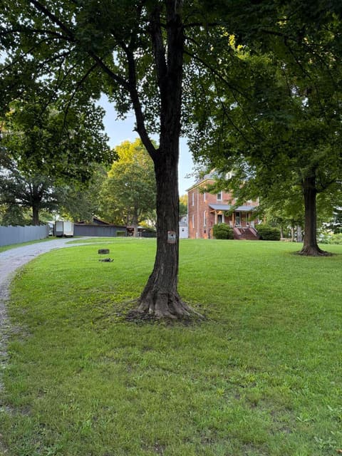 115 Pierce Street, Marion, KY 42064 — photo 2