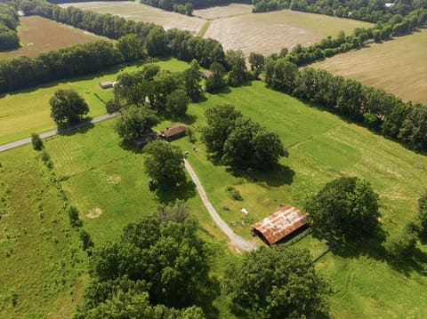 2635 Said Road, Symsonia, KY 42082 — photo 2