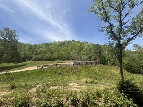 580 Conley Fork, Prestonsburg, KY 41653 — photo 4
