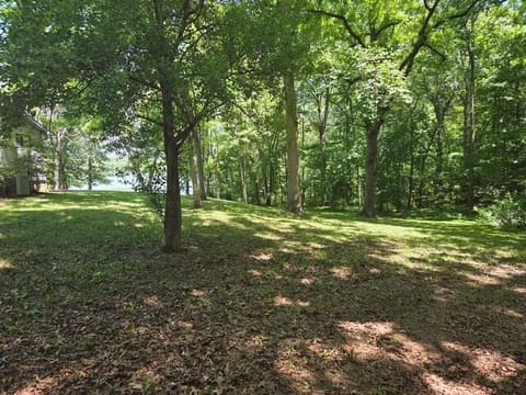 7024 Pottertown Road, Murray, KY 42071 — photo 3