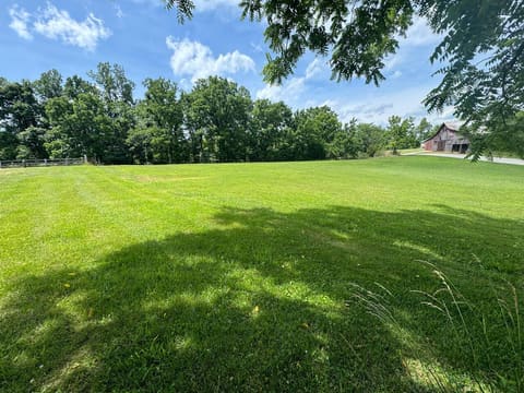 1800 Highway 1955, McKee, KY 40447 — photo 2
