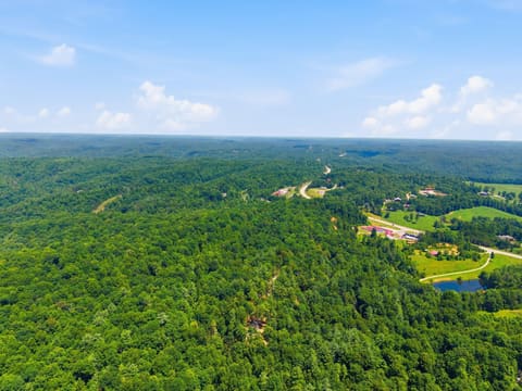 28 Joyful Springs, Zoe, KY 41397 — photo 4