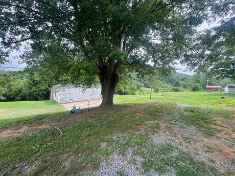 4656 Kentucky 1304, Hinkle, KY 40953 — photo 3