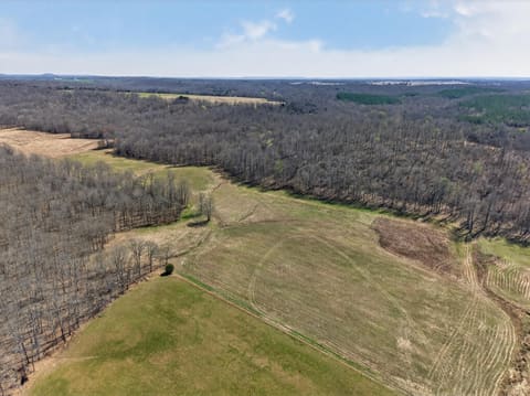 2526 Axel Creek Road, Salem, KY 42078 — photo 2