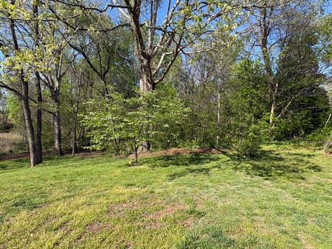 116 Edgewood Drive, Cadiz, KY 42211 — photo 3