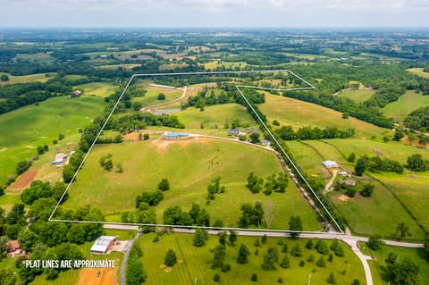 493 Levy Road, Paris, KY 40361 — photo 2