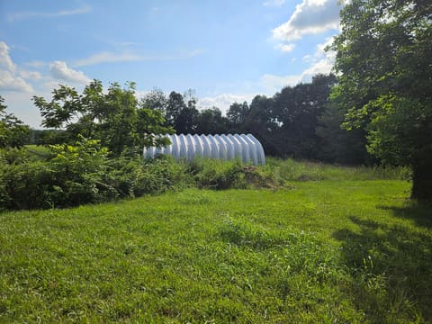3817 Kentucky 501, Kings Mountain, KY 40442 — photo 3