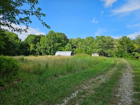 3817 Kentucky 501, Kings Mountain, KY 40442 — photo 5