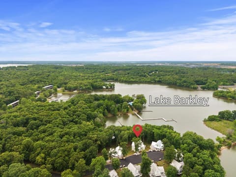 520 Yacht Drive, Grand Rivers, KY 42045 — photo 2