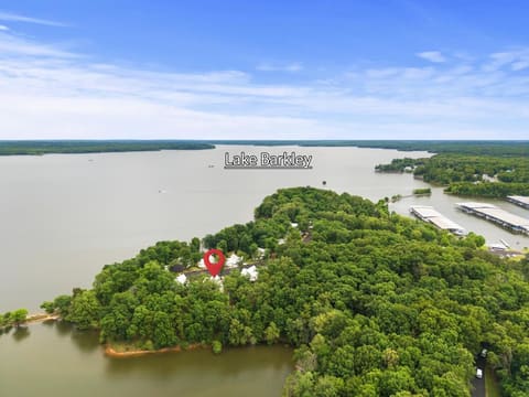 520 Yacht Drive, Grand Rivers, KY 42045 — photo 3
