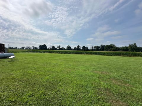 85 Quail Drive, Princeton, KY 42445 — photo 4