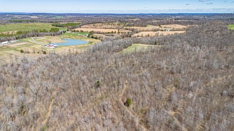 400 Jeff Clements, Marion, KY 42064 — photo 5