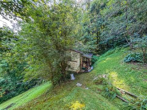 299 George Neil Hill Left Road, Pineville, KY 40977 — photo 2