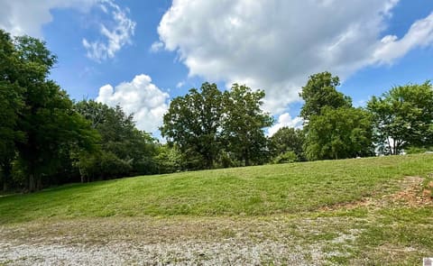 42 Meadowlark Lane, Eddyville, KY 42038 — photo 2