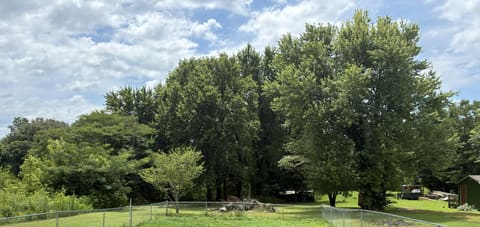 10174 US-45, Wingo, KY 42088 — photo 3