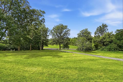 1588 U.S. 641, Marion, KY 42064 — photo 5