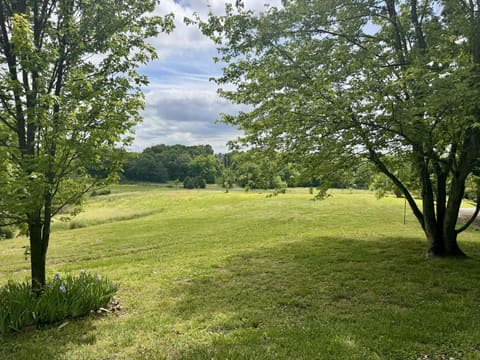 1950 Poole Mill Road, Crofton, KY 42217 — photo 5