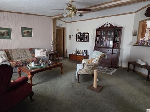 6780 KY-1241, Hickory, KY 42051 — photo 2